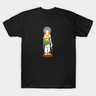 bodhisattva B002 T-Shirt